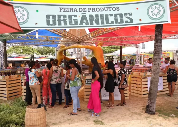 Meio ambiente: Feira de Produtos Orgânicos traz saúde e sustentabilidade para Salvador