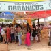 Meio ambiente: Feira de Produtos Orgânicos traz saúde e sustentabilidade para Salvador