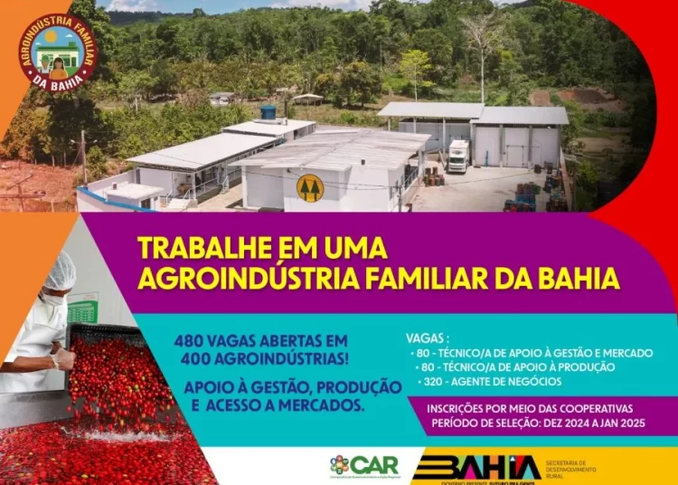 Oportunidade: 480 vagas de trabalho estão abertas para fortalecer a agricultura familiar na Bahia