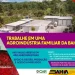 Oportunidade: 480 vagas de trabalho estão abertas para fortalecer a agricultura familiar na Bahia