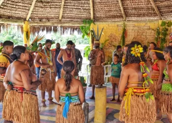 Mobilização: Comunidades indígenas do Extremo Sul apoiam medidas de prevenção da Caravana Bahia Sem Fogo