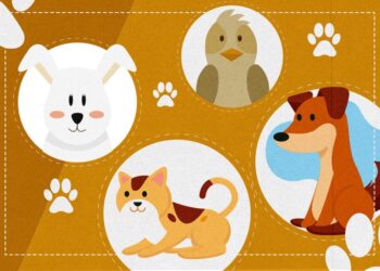 Proteção: Brasil avança na proteção animal com ações multissetoriais e atuação integrada