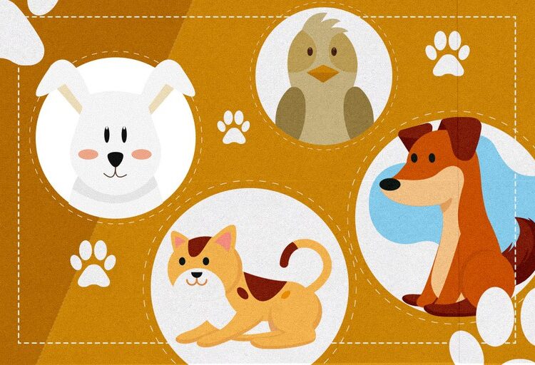 Proteção: Brasil avança na proteção animal com ações multissetoriais e atuação integrada