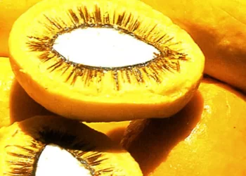 Nova Lei: Sancionada a Política Nacional do Pequi