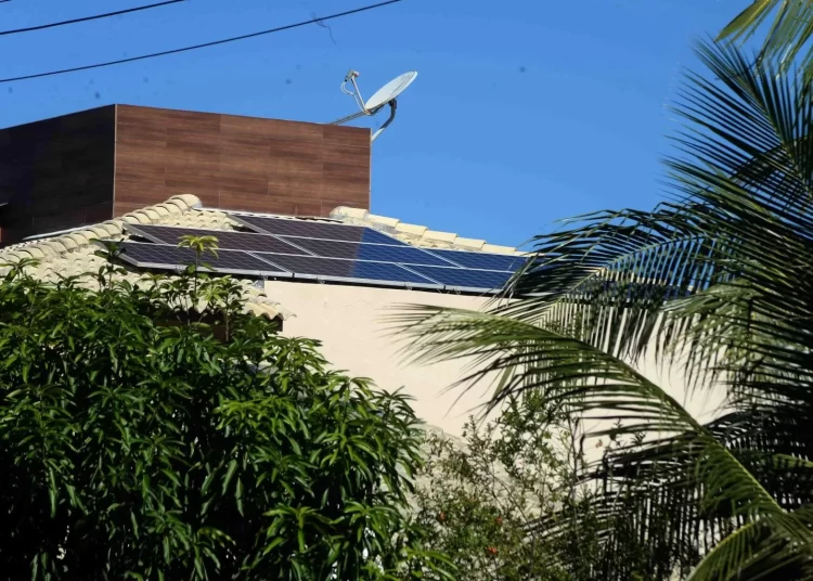 Salvador: Número de beneficiados pelo IPTU Verde cresce 1.378% desde 2022