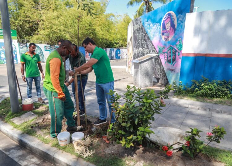 Sustentabilidade: Secretaria realiza plantio de 180 árvores quaresmeiras