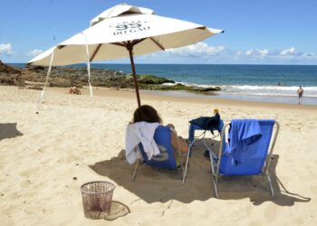 Projeto’Praia Verde’: Salvador realiza ação de restauração ecológica na Praia da Paciência