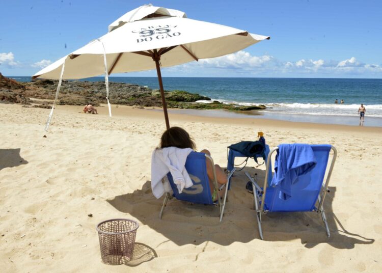 Projeto’Praia Verde’: Salvador realiza ação de restauração ecológica na Praia da Paciência