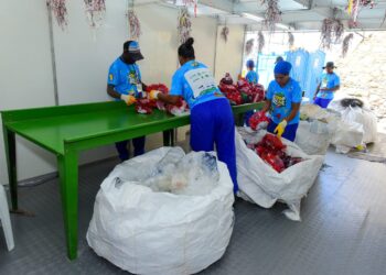 Sustentabilidade: Centrais de Reciclagem do Carnaval coletam mais de 70 toneladas de materiais recicláveis em três dias