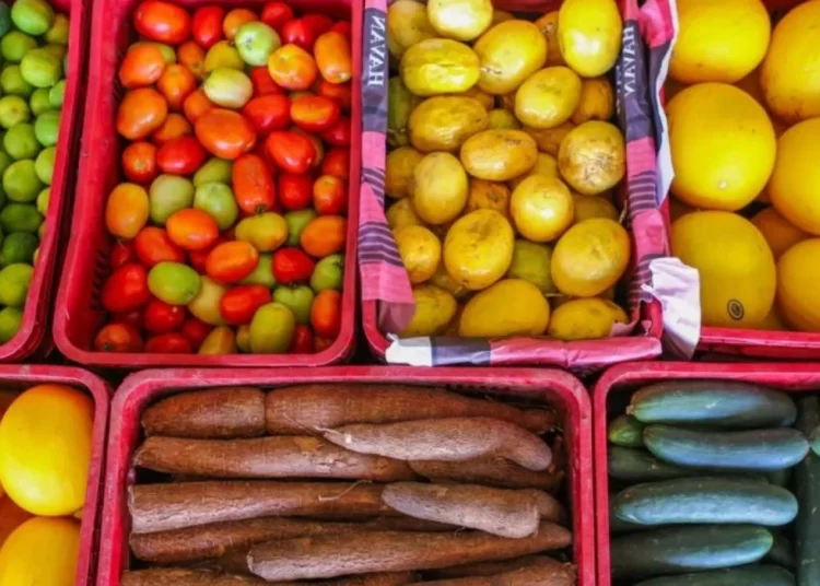 Plano de Segurança Alimentar e Nutricional projeta que Brasil sairá do Mapa da Fome até 2026