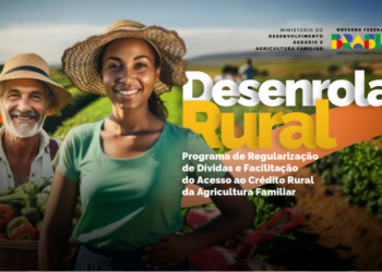 Dívidas: Desenrola Rural pode beneficiar mais de 1 milhão de produtores da agricultura familiar