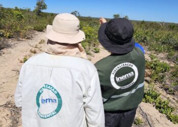 Sema amplia oferta e abre 800 novas vagas para cursos gratuitos de gestão ambiental
