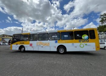 Fim da espera? Linhas de ônibus voltam a circular em Paripe