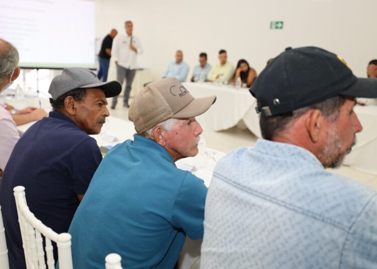 Governador autoriza implantação de energia solar para Fazenda Velha, em Jequié