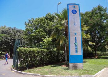 Inclusão: Inscrições para Fórum Neurodiversidade em Ação seguem abertas até esta quinta (10)