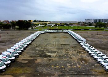 Governo do Estado ultrapassa R$ 196 milhões investidos na renovação da frota em toda a Bahia desde 2023