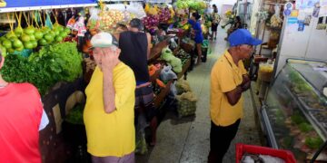 Secretaria Municipal de Ordem Pública abre pregões presenciais para permissionários de boxes em mercados municipais de Salvador