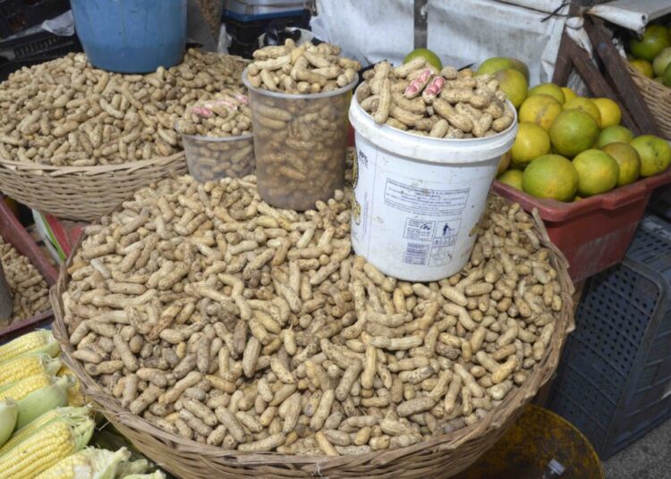 Comércio em Salvador: Feiras e mercados municipais registram grande movimento de clientes à procura de produtos juninos