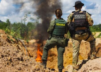 Operação provoca prejuízos de R$ 83,6 milhões para criminosos na região de Cumaru do Norte