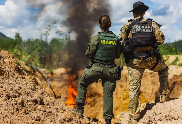 Operação provoca prejuízos de R$ 83,6 milhões para criminosos na região de Cumaru do Norte