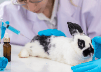 Governo Federal: Projeto que proíbe testes de cosméticos em animais vai à sanção presidencial