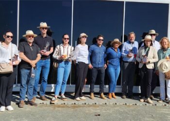 Práticas Sustentáveis: Bahia e Alemanha fortalecem parcerias em tecnologia e sustentabilidade no agronegócio