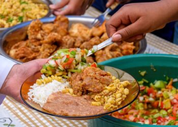 Política: Brasil é novamente referência mundial no combate à fome