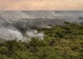Pantanal apresenta maior redução de queimadas com queda de 97,8% em relação a 2024