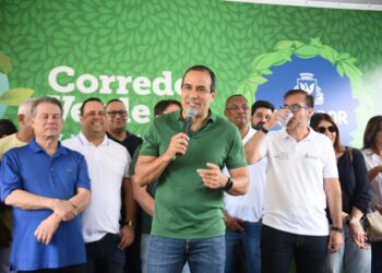 Meio ambiente: Prefeitura inicia novo programa de arborização em Salvador com plantio de 115 árvores na Av. Manoel Dias
