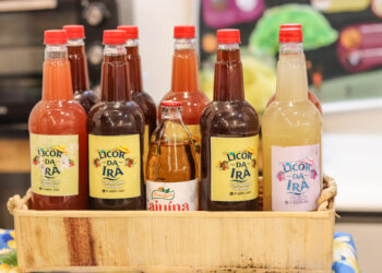 Feira de Santana: Vila da Agricultura Familiar se torna parada obrigatória na programação da Expo Portal 2025