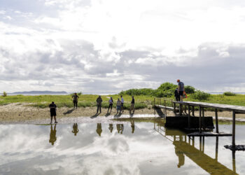Itaparica recebe ação integrada para avaliar presença de medusa invasora