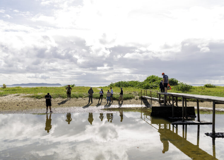 Itaparica recebe ação integrada para avaliar presença de medusa invasora