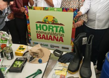 Kits para hortas comunitárias amplia produção de alimentos em 100 municípios baianos
