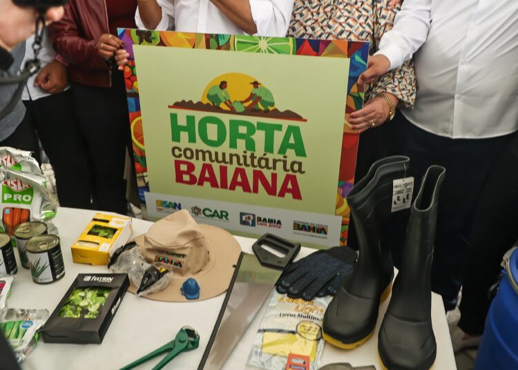 Kits para hortas comunitárias amplia produção de alimentos em 100 municípios baianos