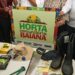 Kits para hortas comunitárias amplia produção de alimentos em 100 municípios baianos