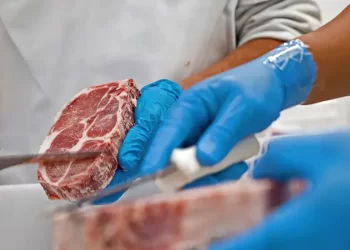 Economia: Abertura para carne e miúdos bovinos do Brasil faz país alcançar 403 novos mercados
