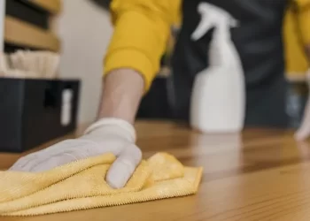 FGTS para trabalhadores domésticos: Mais de 80 mil empregadores receberão avisos a partir de 17 de setembro