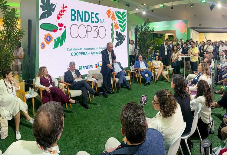 Amazônia Legal: Brasil anuncia R$ 107 milhões para bioeconomia amazônica por meio do programa Coopera+ Amazônia