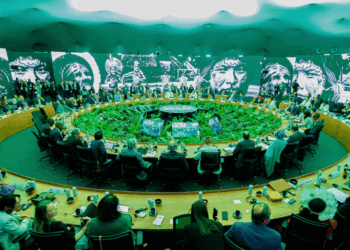 Meio ambiente: Brasil propõe ação global para fortalecer prevenção a incêndios florestais