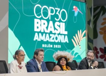 Fundo Florestas Tropicais para Sempre: Brasil, Indonésia, França, Portugal e Noruega já anunciaram quanto vão investir