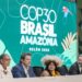 Fundo Florestas Tropicais para Sempre: Brasil, Indonésia, França, Portugal e Noruega já anunciaram quanto vão investir