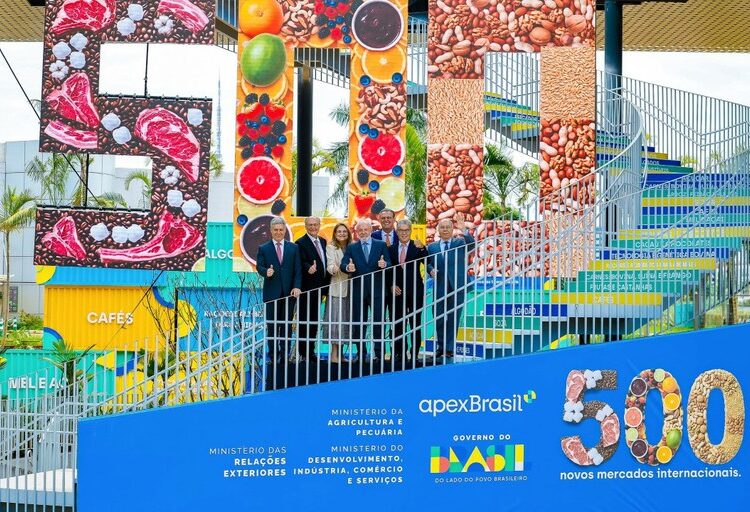 Agricultura e Pecuária: Brasil registra avanço histórico com acesso a mercados estrangeiros e Plano Safra