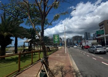 Município: Corredor Verde da Av. Manoel Dias avança com monitoramento contínuo e resultados já visíveis