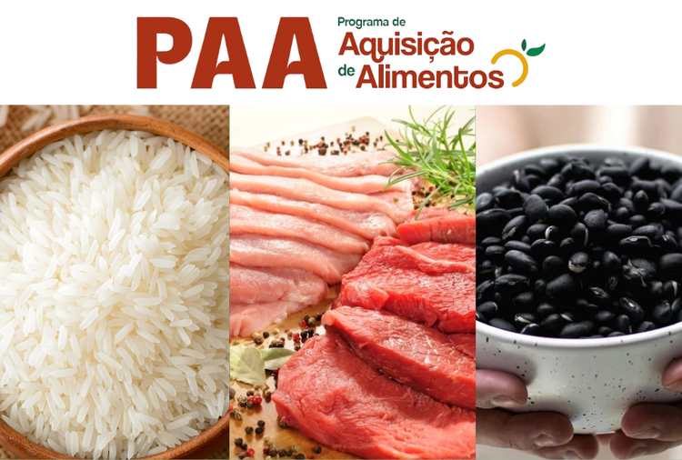 Programa de Aquisição de Alimentos: iniciativa será destinada a Cozinhas Solidárias e estoques para ações sociais emergenciais
