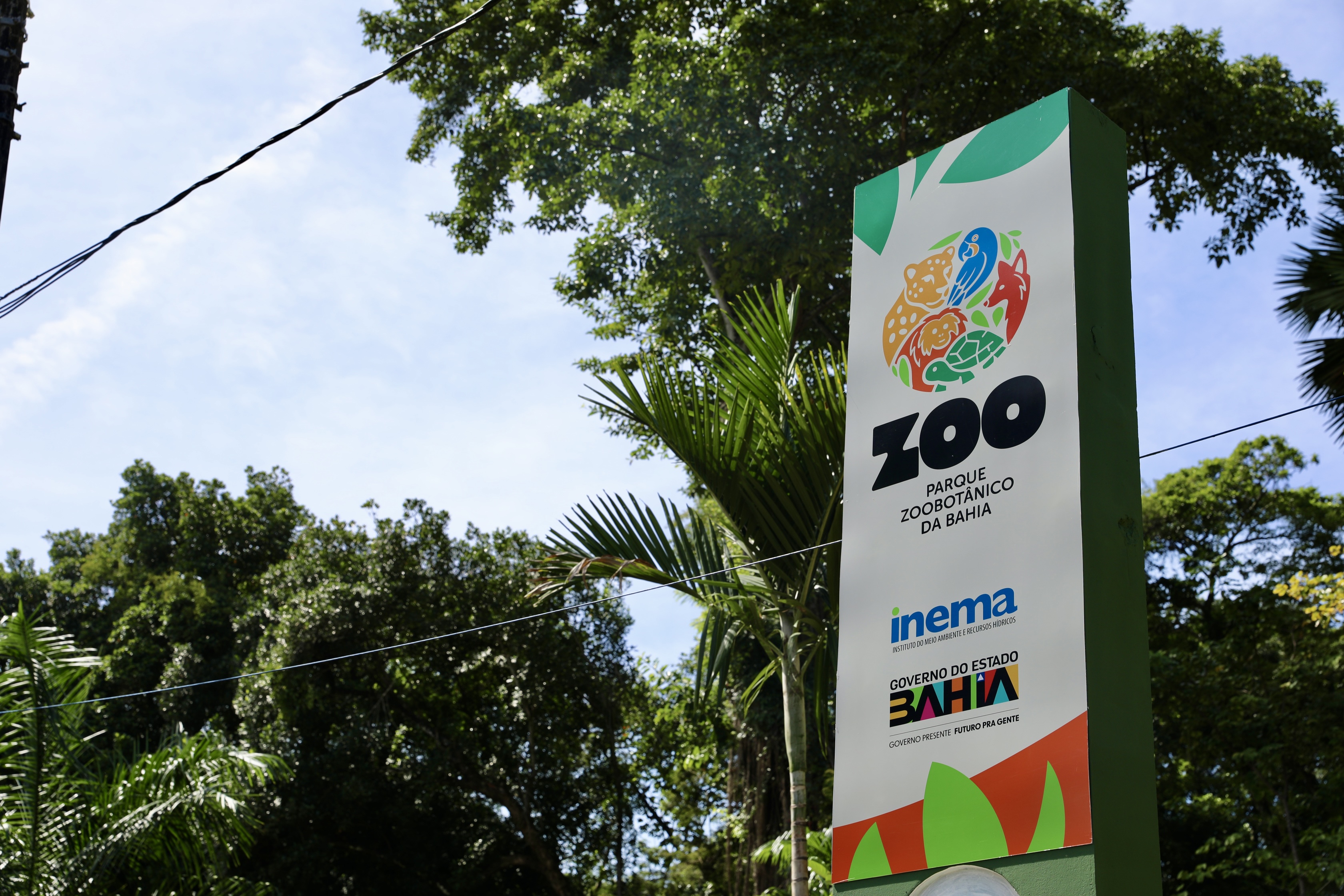 Parque Zoobotânico: Projeto “Férias é no Zoo” oferece programação educativa e ambiental no fim das férias escolares