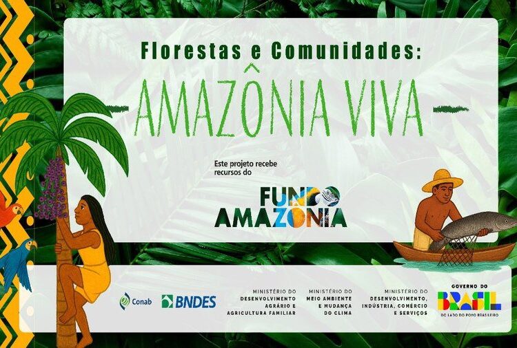 Fundo Amazônia: edital já está disponível ao público e prevê o apoio a no mínimo 32 propostas