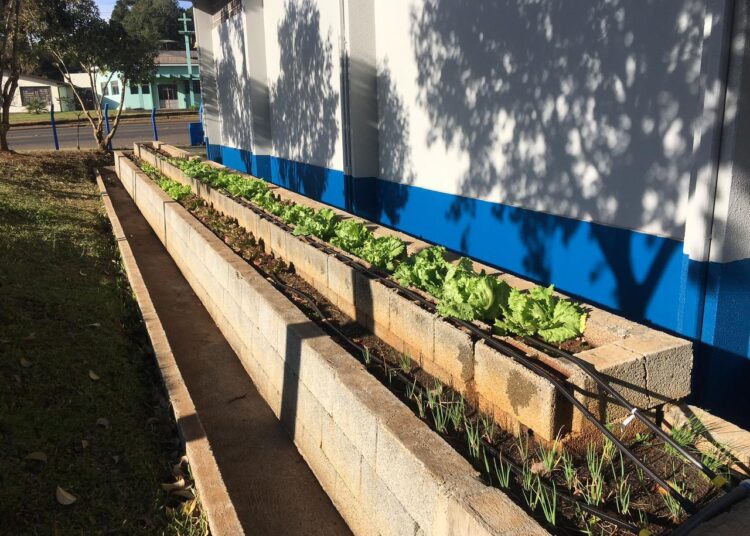 Senado:Aprovado incentivo a hortas suspensas em escolas