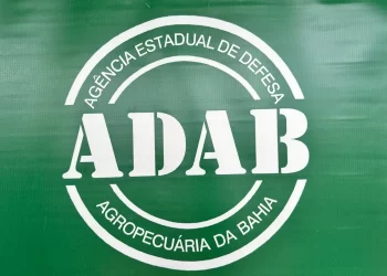 Concurso público: Certame da ADAB está com inscrições abertas