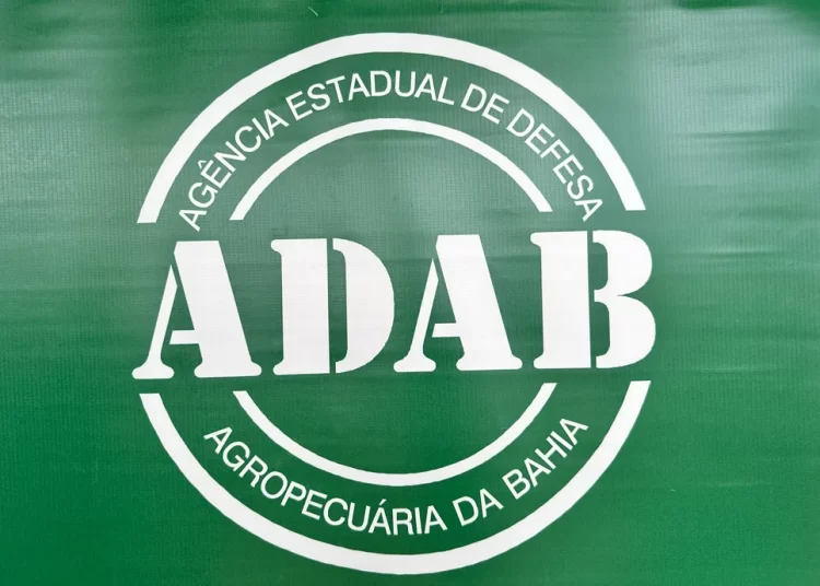 Concurso público: Certame da ADAB está com inscrições abertas