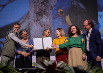 Proteção e direitos: Governo do Brasil anuncia pacote de medidas para fortalecer a proteção animal